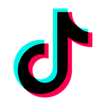 TikTok Video Scraper